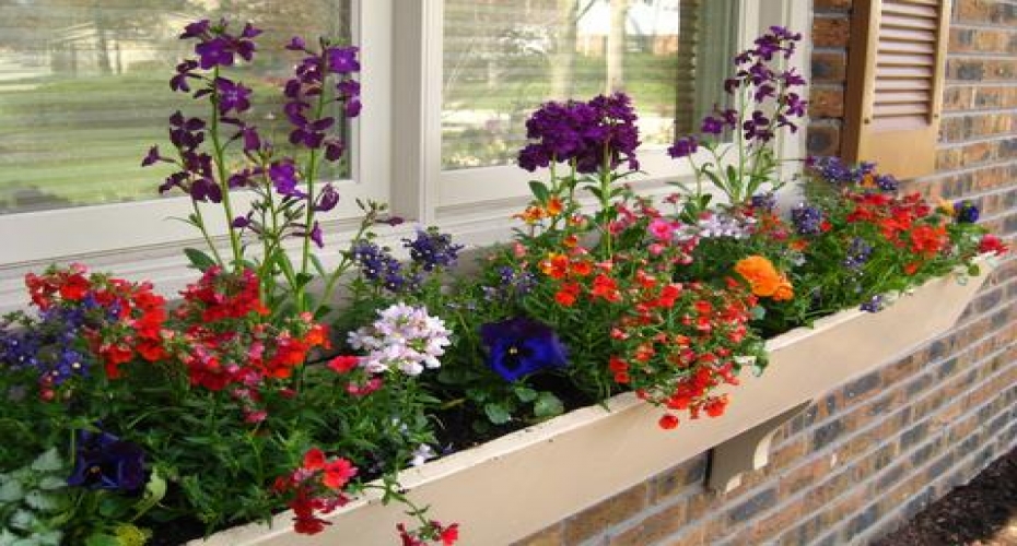 Make the most of limited garden space