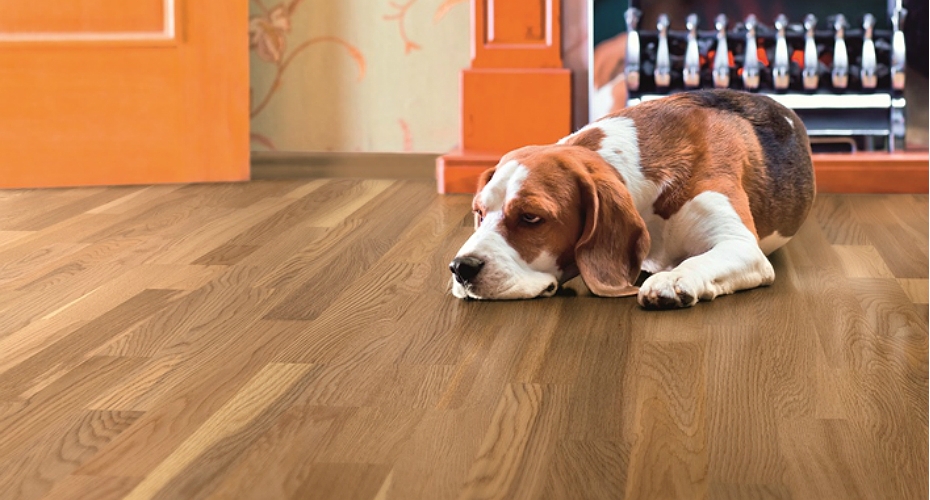 The Timeless Beauty of a Real Hardwood Floor 