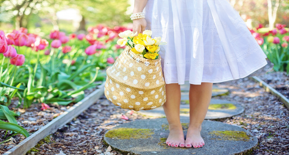 Have a Small Garden? Here’s How to Make the Most of It